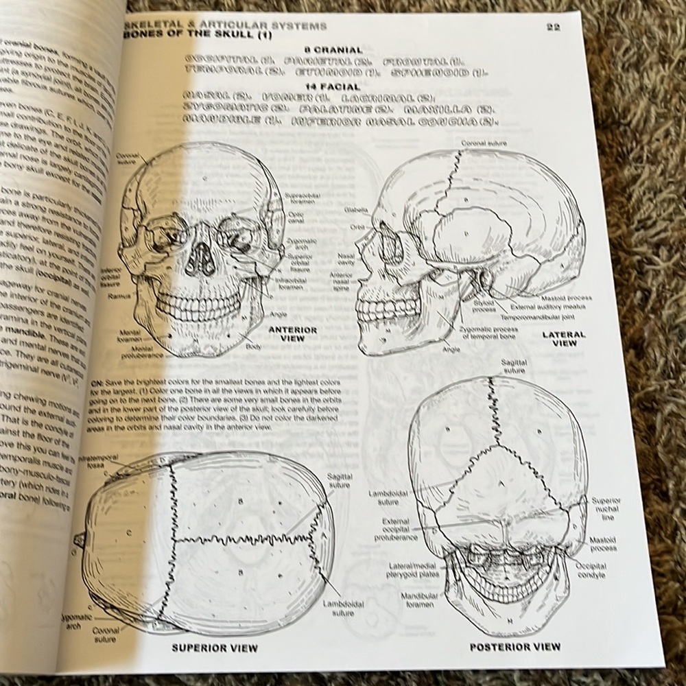 Coloring Book - Picture 3 of 4